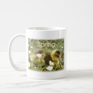 Spring Gosling mug