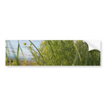 Spring Grass Bumper Sticker