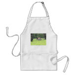 Spring Grazing in Louisiana Apron