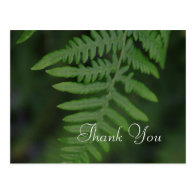 Spring green fern leaves thank you post card