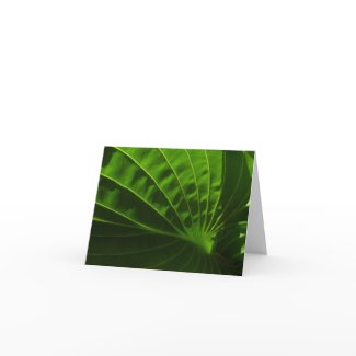 Spring Green Hosta Leaf Note Card card