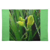 spring green lily buds placemats