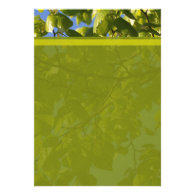 Spring green tree leaves blank invitations