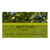Spring green tree leaves in blue sky business card business card