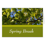 Spring green tree leaves spring break note card cards