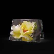 Spring! Greeting Card