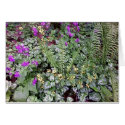 Spring Ground Cover Card by skywatcher Spring Ground Cover Card