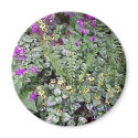 Spring Ground Cover magnets by skywatcher Spring Ground Cover magnets