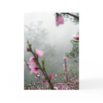 Spring Harmony/ Greetings Card