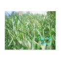 Spring Has Come postcards