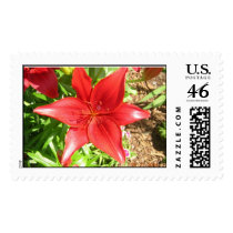SPRING HAS SPRUNG1 postage by nightskyrider33 SPRING HAS SPRUNG1 postage