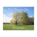 Spring Has Sprung postcards by cattilovebugg Spring Has Sprung postcards