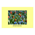 Spring has Sprung posters by ELF1020 Spring has Sprung posters