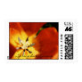 Spring has Sprung Stamps