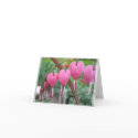 spring hearts cards