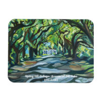 Spring Hill College- Avenue of the Oaks kmkirkART