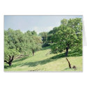 Spring Hillside, San Jose cards by agserm Spring Hillside, San Jose cards