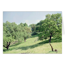 Spring Hillside, San Jose cards