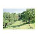 Spring Hillside, San Jose (poster) posters by agserm Spring Hillside, San Jose (poster) posters