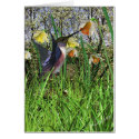 Spring Hummingbird Cards