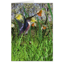 Spring Hummingbird Cards