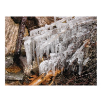 Spring Ice posters