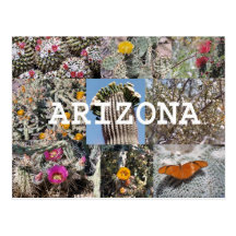 Spring in Arizona Postcard