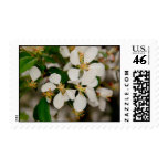 Spring In Bloom postage