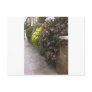 Spring in Camden Post Card