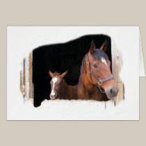 Spring in Hunt Country cards