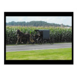 ~ Spring in Lancaster County ~ 19 Post Cards