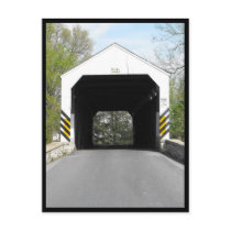 ~ Spring in Lancaster County ~ 29.5 Post Cards