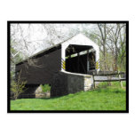 ~ Spring in Lancaster County ~ 29 Post Card
