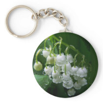 Spring In Maine Key Chains