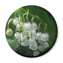 Spring In Maine Refrigerator Magnet