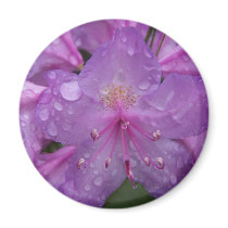 Spring In Maine magnets by nmpics Spring In Maine magnets