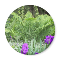 Spring In Maine magnets by nmpics Spring In Maine magnets