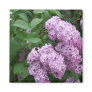 Spring In Maine Magnets