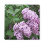 Spring In Maine Magnets