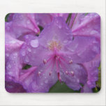 Spring In Maine mousepads