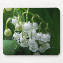 Spring In Maine Mouse Pad