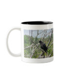 Spring In Maine Coffee Mug