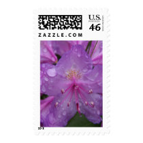 Spring In Maine postage by nmpics Spring In Maine postage