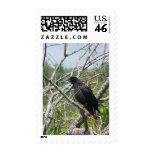 Spring In Maine Stamps
