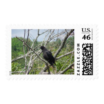 Spring In Maine Stamp