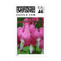 Spring In Maine postage by nmpics Spring In Maine postage