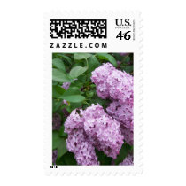 Spring In Maine Postage