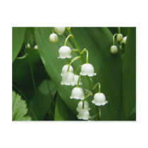Spring In Maine postcards by nmpics Spring In Maine postcards