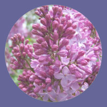 Spring In Maine stickers