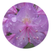 Spring In Maine stickers